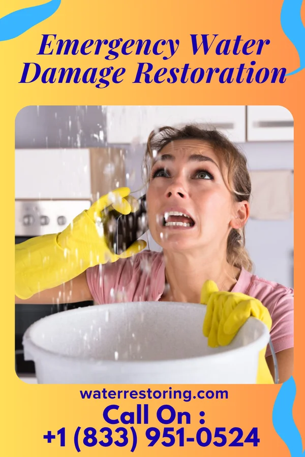 Emergency Water Damage Restoration in South Salt Lake, UT