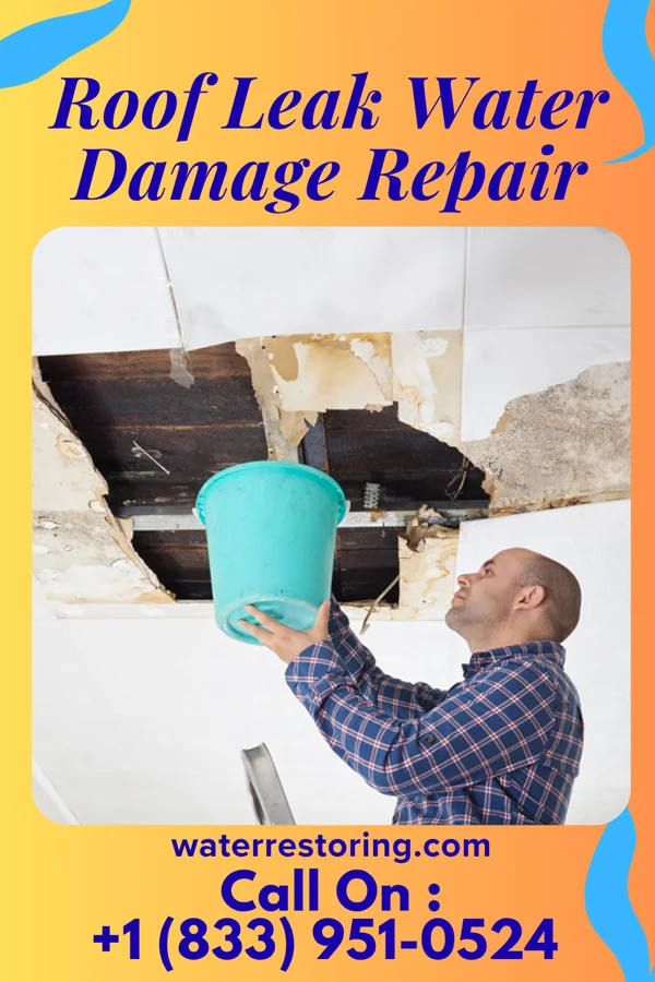 Roof Leak Water Damage Repair in South Salt Lake, UT